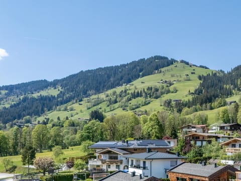 Immediate Surroundings [summer] (&lt;1 km)