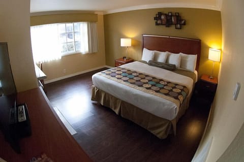 Standard Room, 1 King Bed, Fireplace | Pillowtop beds, desk, iron/ironing board, free WiFi