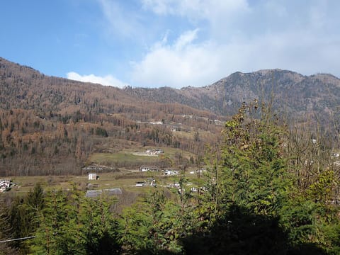 Autumn, Scenic View, Spring, Summer