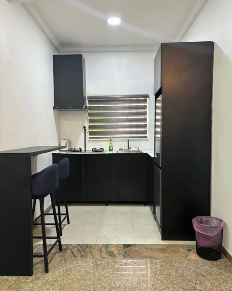 Family Apartment, Balcony, City View | Private kitchen | Fridge, microwave, oven, stovetop