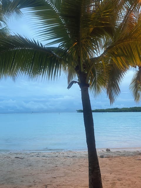 On the beach, sun loungers, beach towels, 12 beach bars