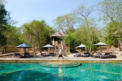 Outdoor pool, sun loungers