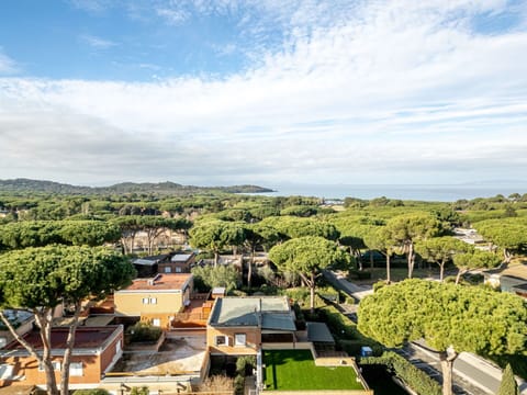 Residential Area, Horizon, Landscape, Urban Design, Suburb, Bird'S-Eye View, Sea, Aerial Photography, Coast, Landscaping