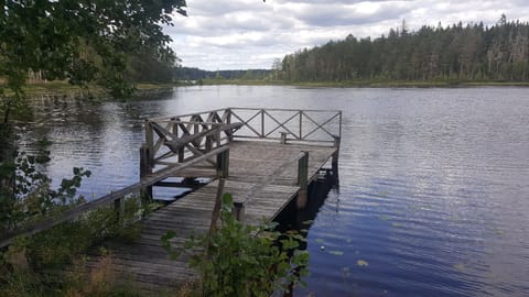 Area that directly surrounds the property