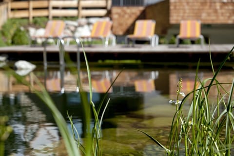 Apartment | Property grounds