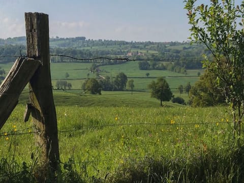 Immediate Surroundings [summer] (&lt;1 km)