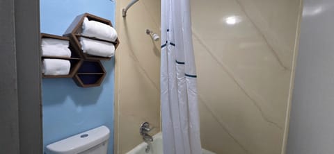 Combined shower/tub, free toiletries, towels, toilet paper