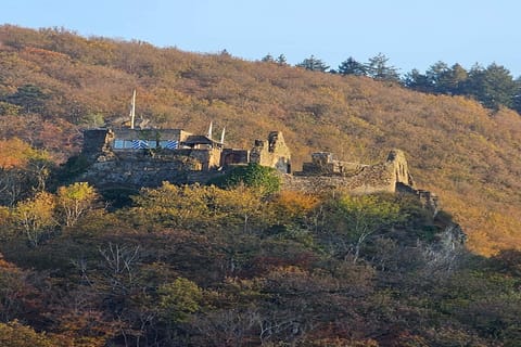 Region [summer] (&gt;5 km)