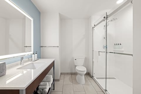 Hair dryer, towels, soap, shampoo