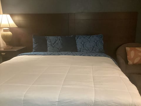 Single Room, 1 King Bed, Non Smoking | Desk, free WiFi