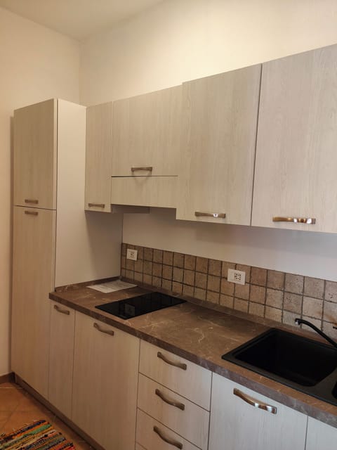 Deluxe Apartment, Lake View | Private kitchen | Highchair