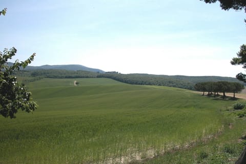 View from Holiday Home [summer]