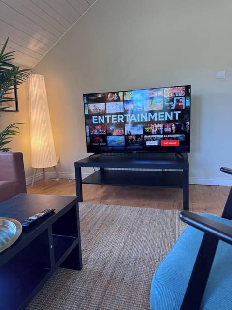 55 inch smart tv connected to high speed WIFI with an added free view aerial 
