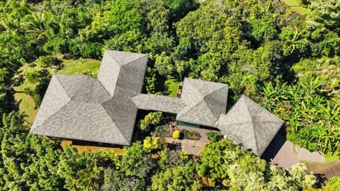 House in the jungle - Overhead shot of the house.