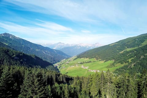 Surroundings [summer] (1-5 km)