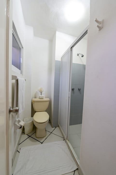 Standard Room Mountain View | Bathroom | Shower, free toiletries, towels