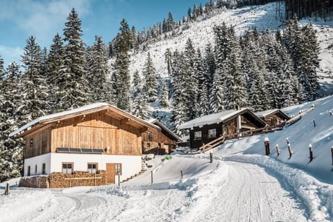 Apartment | Exterior