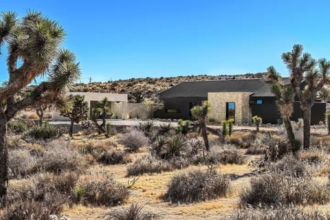 Surrounded by Joshua Trees.