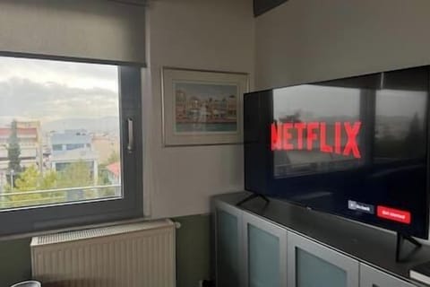 Netflix Streaming available with renter's account