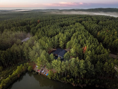 A breathtaking drone shot at sunrise, showcasing the cabin’s idyllic setting among endless pine trees. The Cove is the perfect retreat for those seeking peace, serenity, and outdoor adventure.