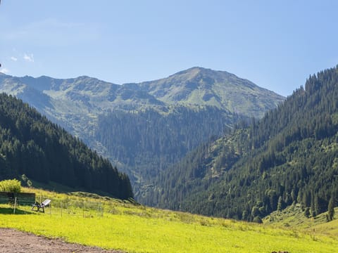 View from Holiday Home [summer]