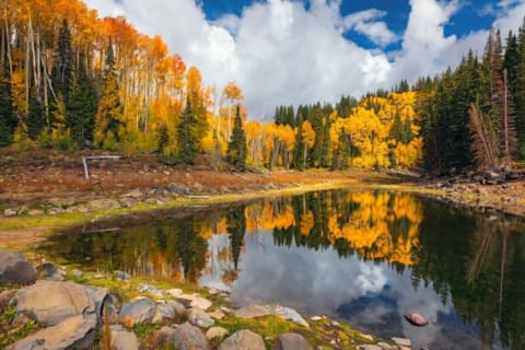 Golden aspens and endless views await on the Grand Mesa.