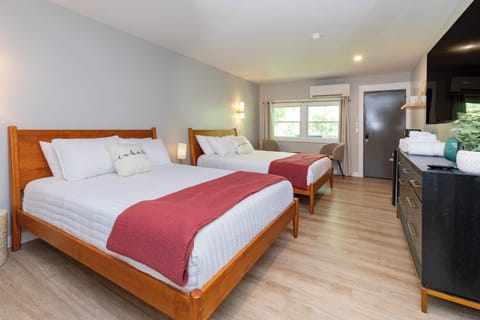 Zinnia Deluxe Double Queen Room