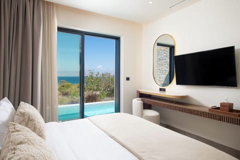 Vione Suite With Private pool & Sea View | View from room