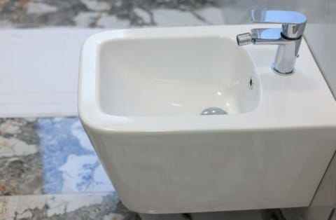 Shower, towels, toilet paper