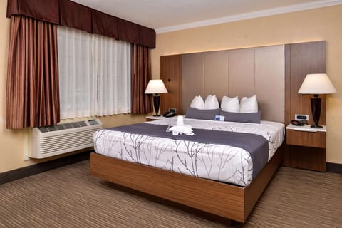 Standard Room, 1 Queen Bed, Non Smoking, Refrigerator & Microwave | In-room safe, desk, laptop workspace, blackout drapes
