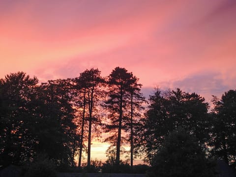 Surrounding area | Bailiffs House - Glynhir Estate, Llandybie