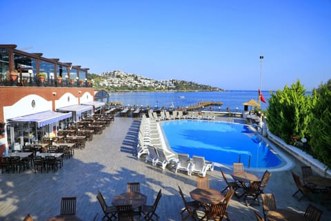 Outdoor pool, sun loungers