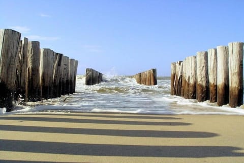 Region [summer] (&gt;5 km)