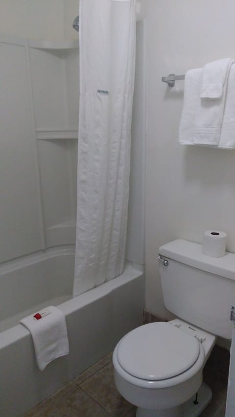 Combined shower/tub, free toiletries, towels, toilet paper