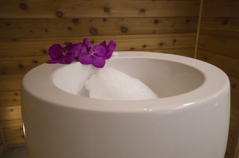 Sauna, spa tub, body treatments, hydrotherapy, aromatherapy, body wraps