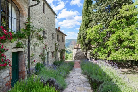 Shrub, Garden, Groundcover, Brick, Landscaping, Stone Wall, Botanical Garden, Plantation