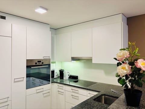 Classic Apartment, Courtyard View | Private kitchen | Full-size fridge, microwave, oven, stovetop