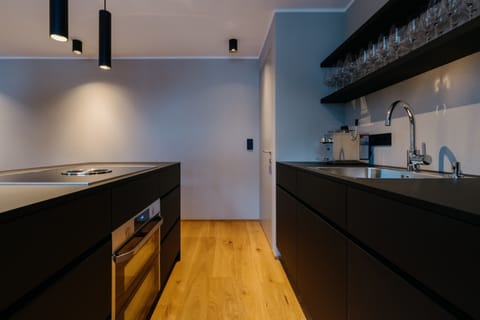 Deluxe Apartment | Private kitchen | Full-size fridge, oven, stovetop, dishwasher