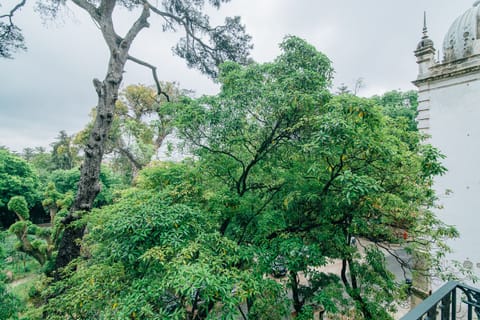 Royal Suite, Balcony | Garden view