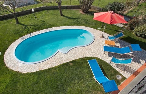 Garden, Outdoor, Pool