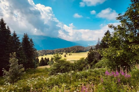 Surroundings [summer] (1-5 km)