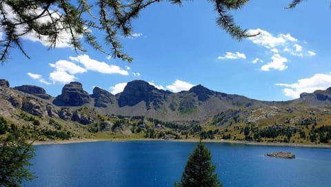 Region [summer] (&gt;5 km)