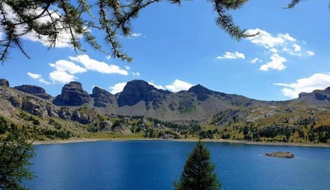 Region [summer] (&gt;5 km)