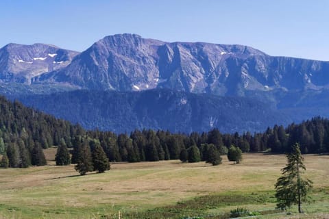 Surroundings [summer] (1-5 km)