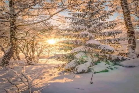 Surroundings [winter] (1-5 km)