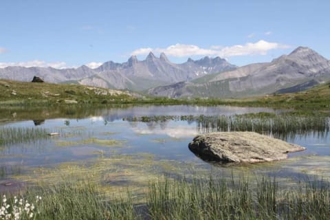 Region [summer] (&gt;5 km)