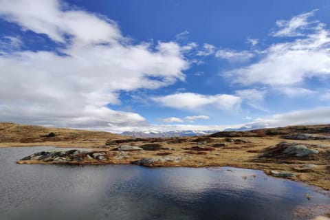 Region [summer] (&gt;5 km)