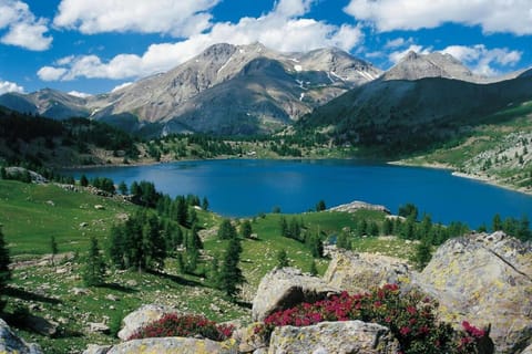 Region [summer] (&gt;5 km)