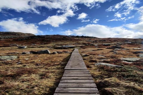 Region [summer] (&gt;5 km)