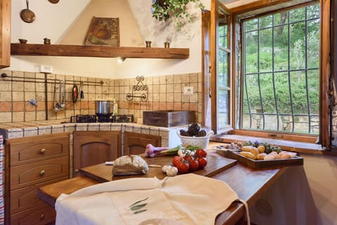 Kitchen, Interior Design, Wood, Furniture, Flooring, Countertop, Room, Cabinetry, Ceiling, Floor